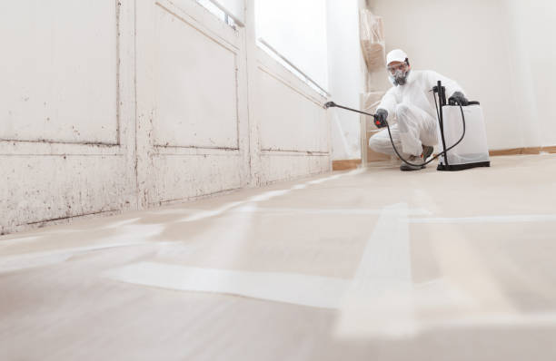 Black mold remediation team in Falcon